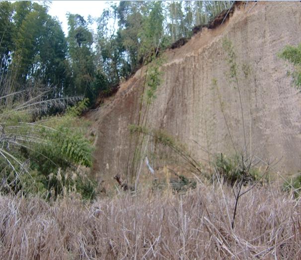 辻ヶ峰採土場崖の横ずれの画像