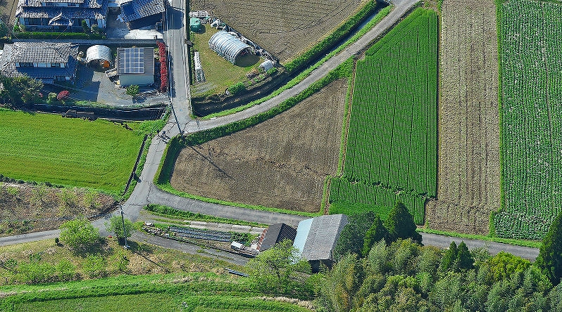 国天然記念物「布田川断層帯」（堂園地区）の画像