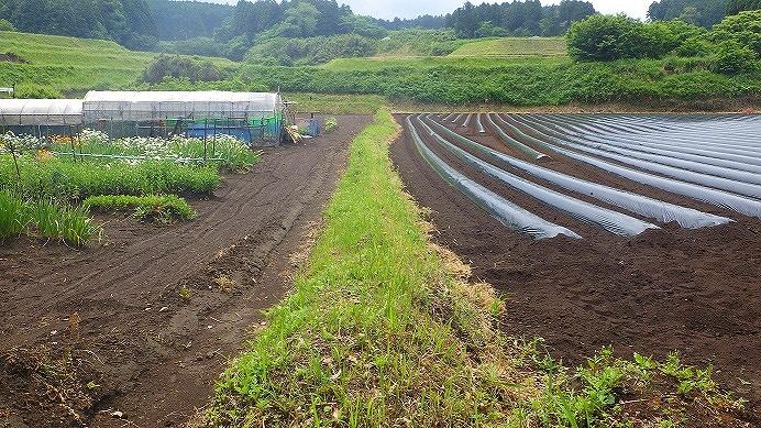 断層のずれ（小森312-1他）の画像