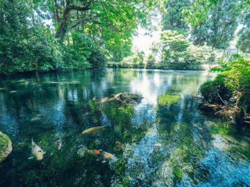 明神池名水公園の画像