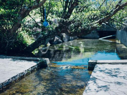 湧沢津水源（わきさわつすいげん）の画像