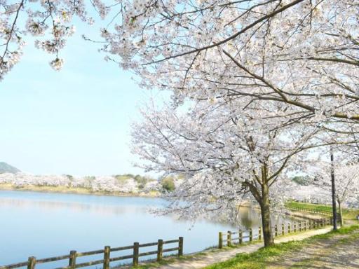 立岡自然公園の画像