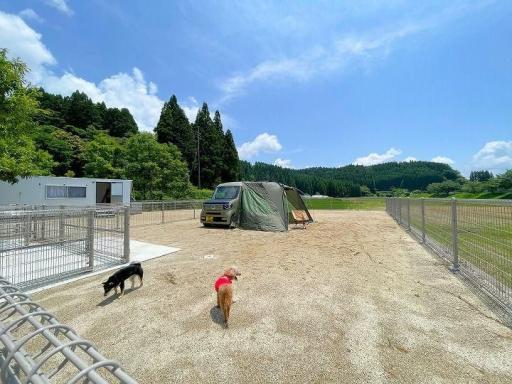 火の国ドッグラン　オートキャンプ場の画像