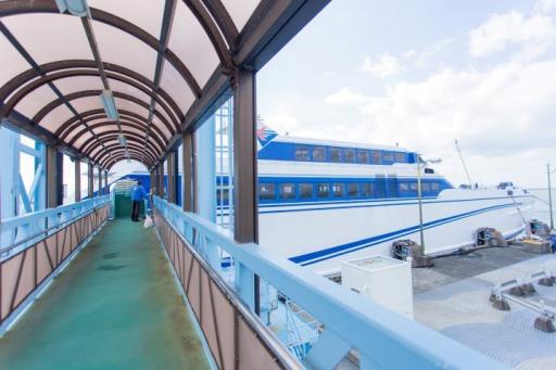 オーシャンアローの画像