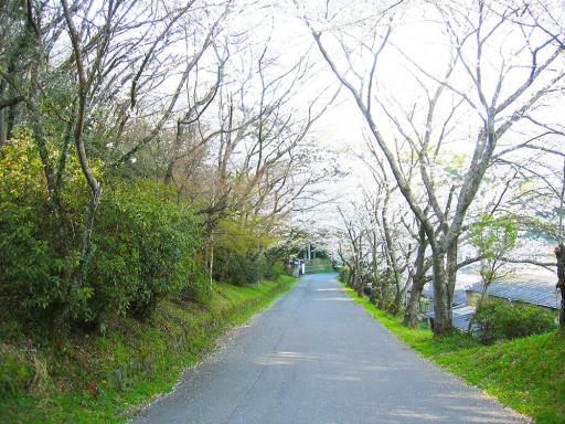 妙見坂公園の画像