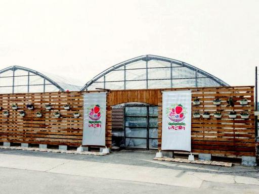 ウキウキランラン♪ 観光農園（有限会社　宮川洋蘭）の画像